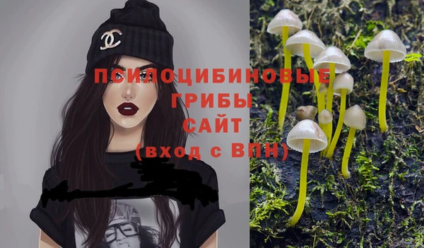 mix Аркадак